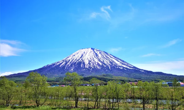 niseko