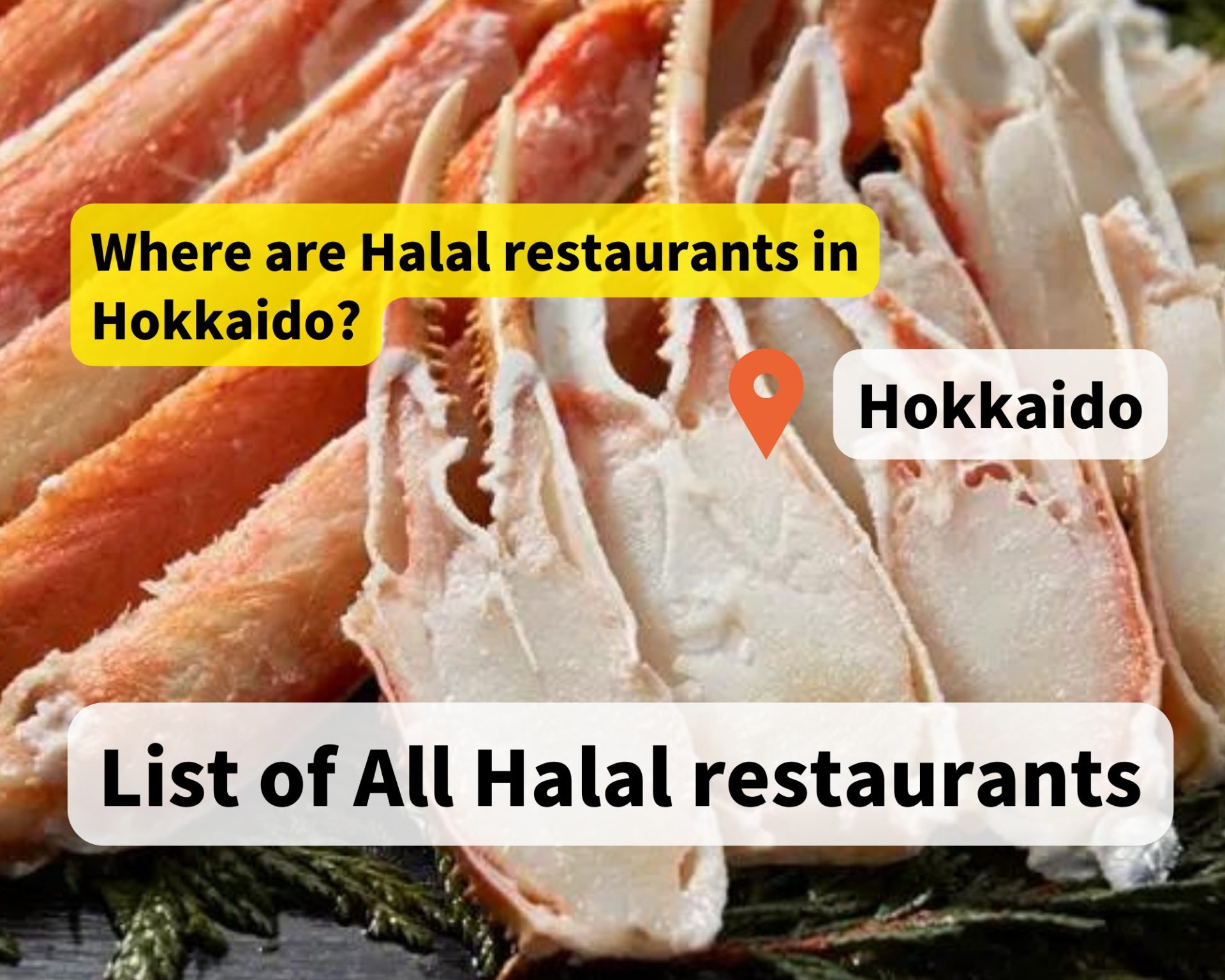 Sapporo halal restaurants