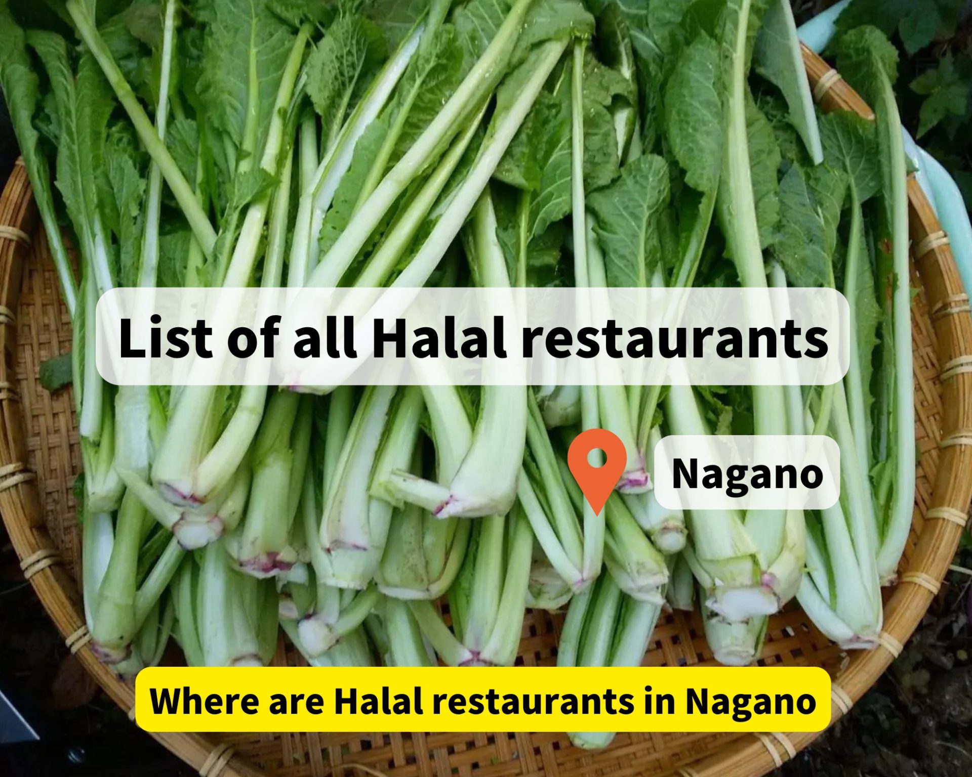 Nagano Halal restaurant