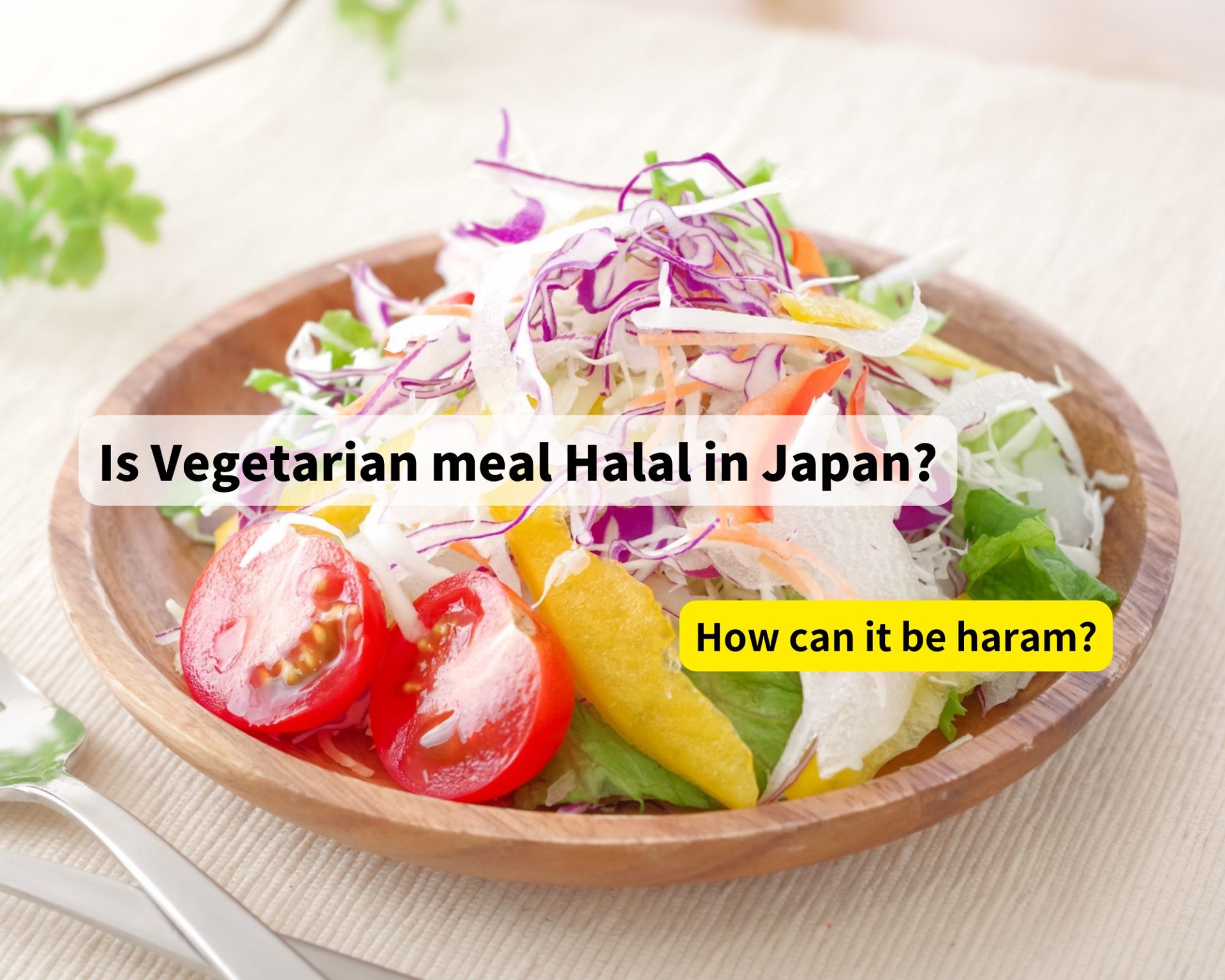 Is Vegetarian dish Halal in japan?